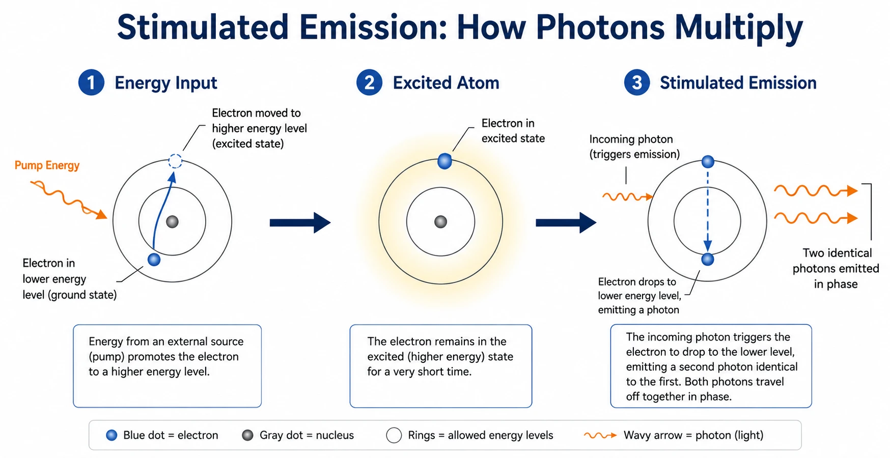 Diagram of stimulated emission in three stages - pump energy excites an electron to a higher level, the atom holds the excited state, and an incoming photon triggers the release of two identical photons in phase